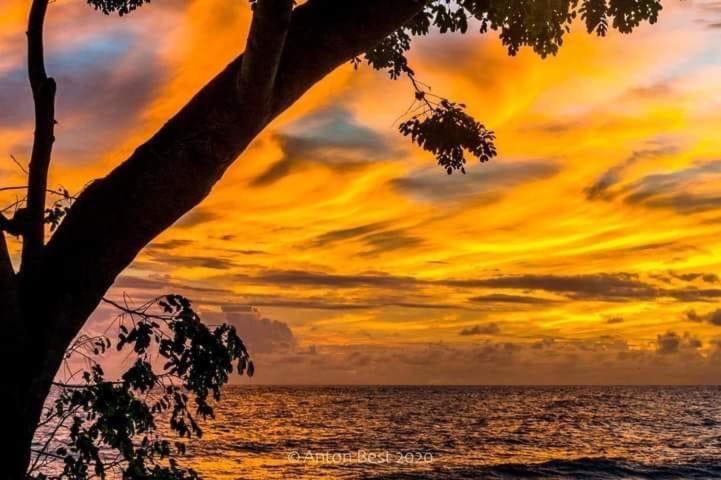 Westmoreland Hills - Mount Standfast - St James - Full Gym Membership Saint James Luaran gambar