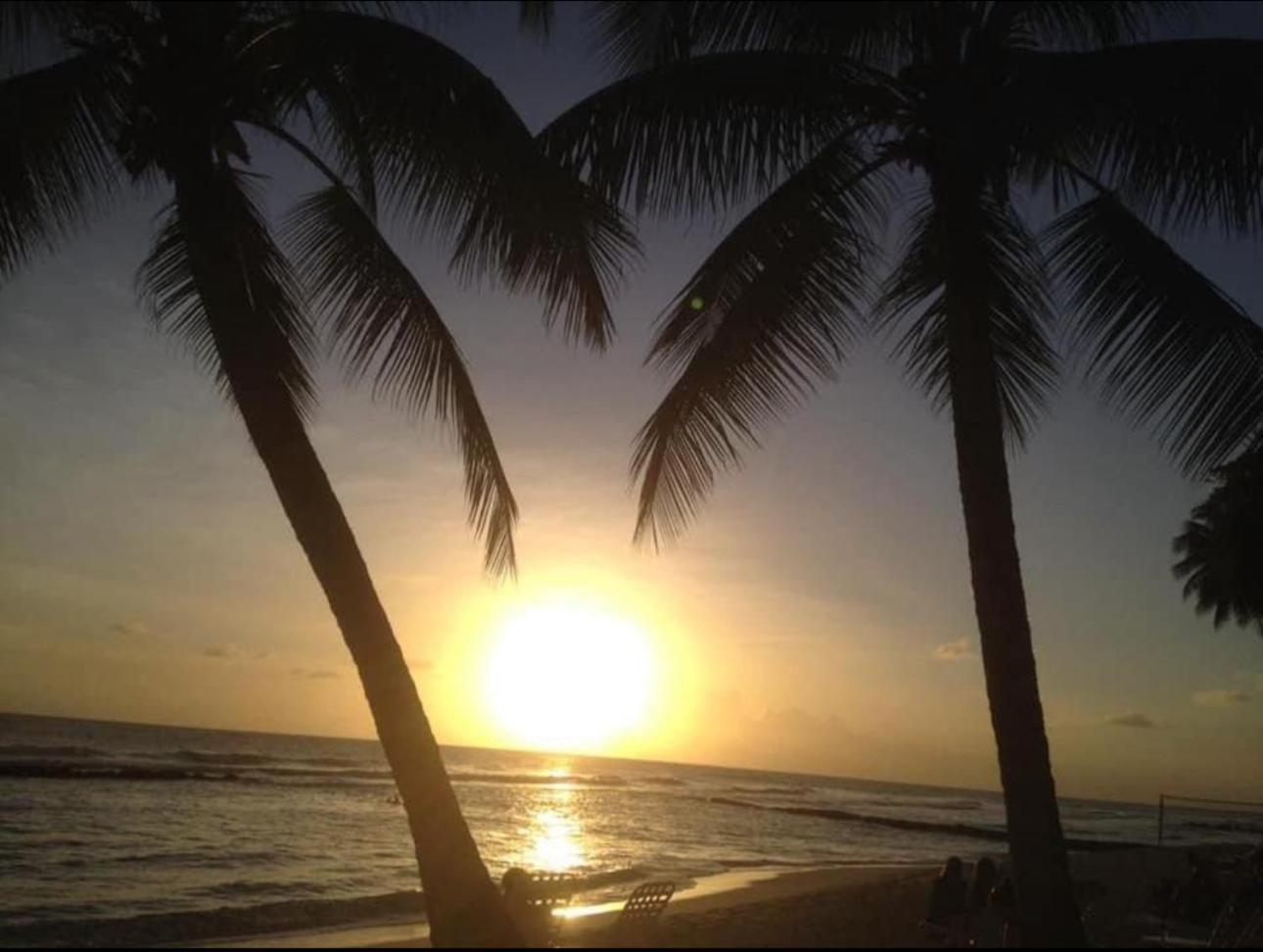 Westmoreland Hills - Mount Standfast - St James - Full Gym Membership Saint James Luaran gambar